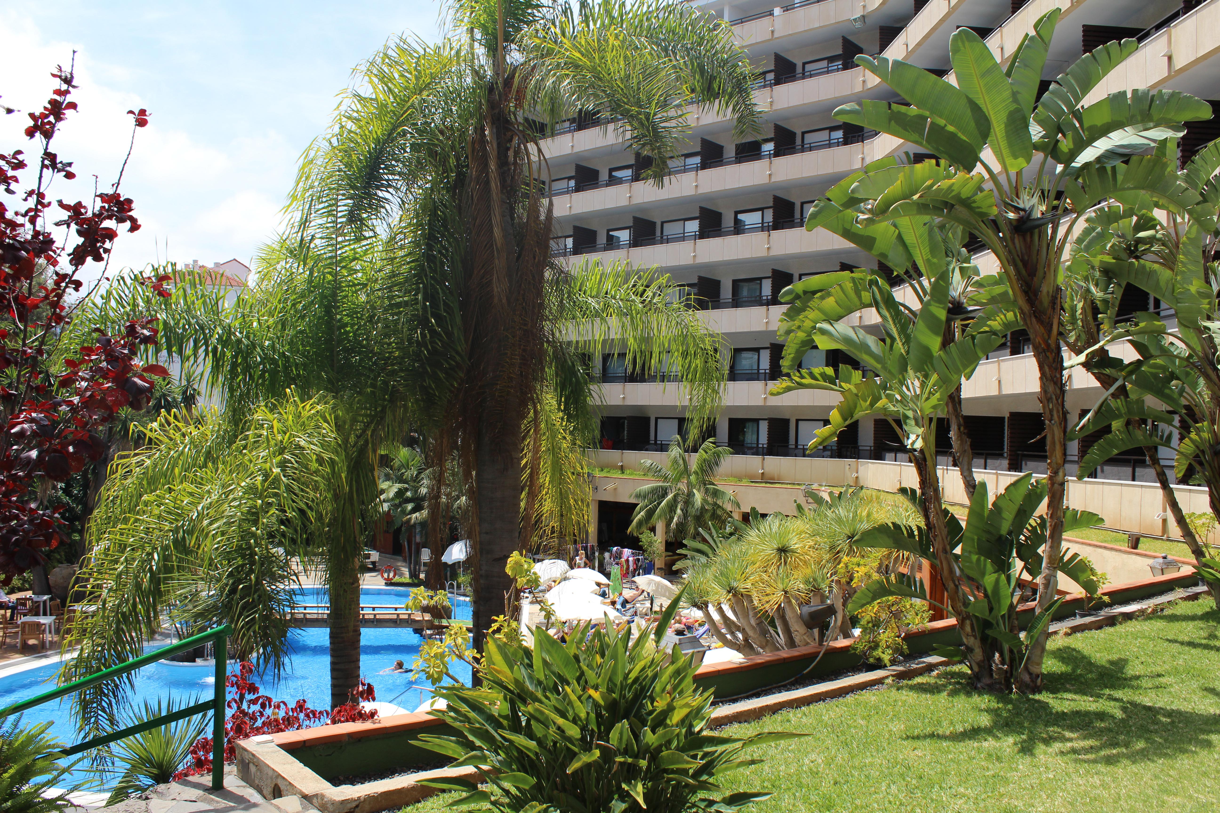 Fergus Puerto De La Cruz Hotel Ngoại thất bức ảnh